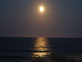 Moonlight on the beach - photo by Sherman